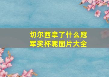 切尔西拿了什么冠军奖杯呢图片大全