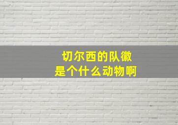 切尔西的队徽是个什么动物啊