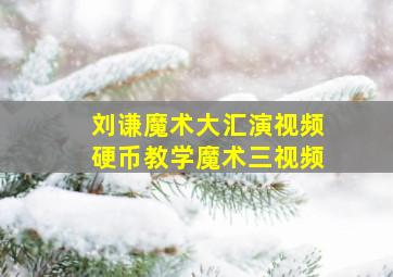 刘谦魔术大汇演视频硬币教学魔术三视频