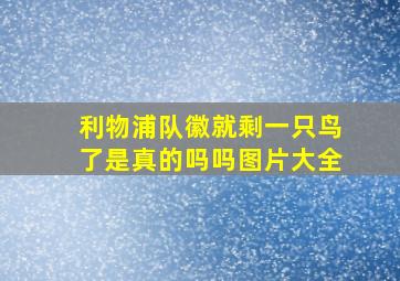 利物浦队徽就剩一只鸟了是真的吗吗图片大全