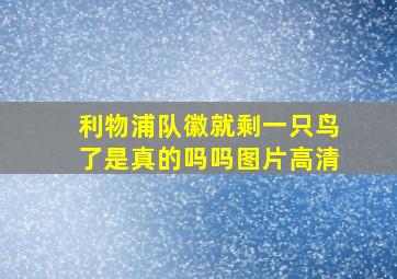 利物浦队徽就剩一只鸟了是真的吗吗图片高清