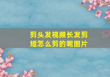 剪头发视频长发剪短怎么剪的呢图片