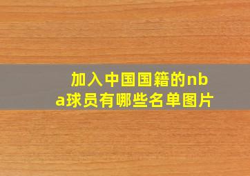 加入中国国籍的nba球员有哪些名单图片