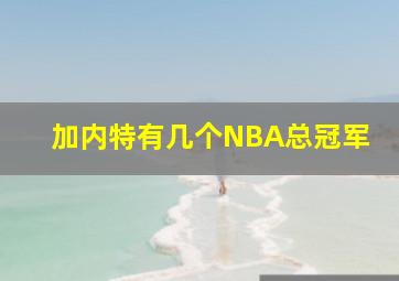 加内特有几个NBA总冠军