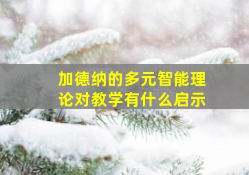 加德纳的多元智能理论对教学有什么启示