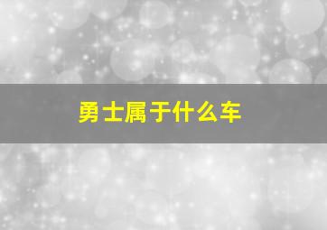 勇士属于什么车