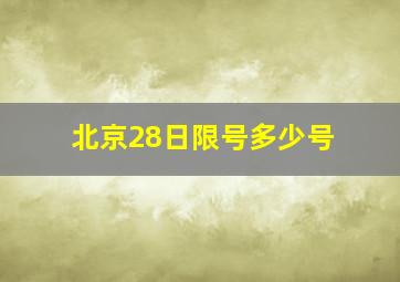 北京28日限号多少号