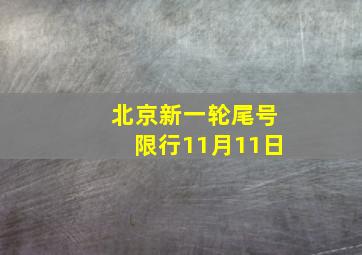 北京新一轮尾号限行11月11日