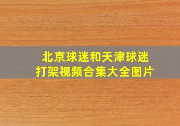 北京球迷和天津球迷打架视频合集大全图片