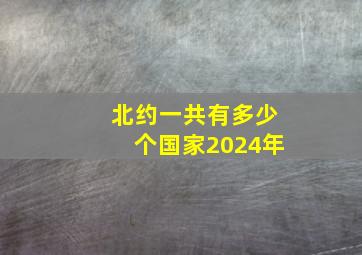 北约一共有多少个国家2024年