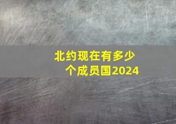 北约现在有多少个成员国2024