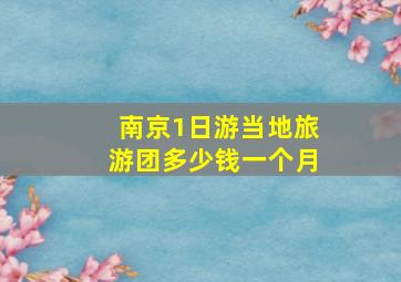 南京1日游当地旅游团多少钱一个月