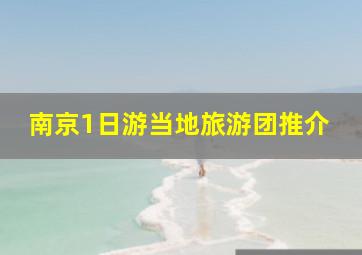 南京1日游当地旅游团推介