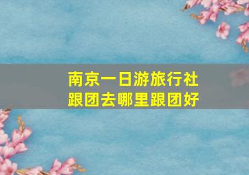 南京一日游旅行社跟团去哪里跟团好