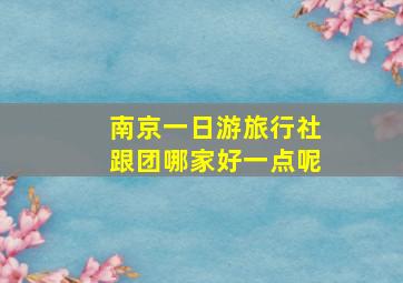 南京一日游旅行社跟团哪家好一点呢