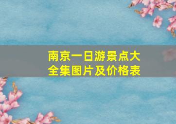 南京一日游景点大全集图片及价格表