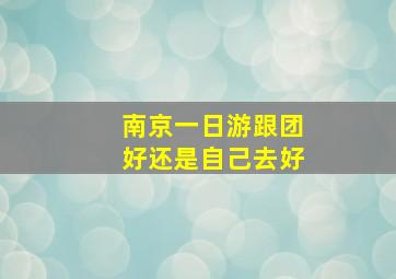 南京一日游跟团好还是自己去好