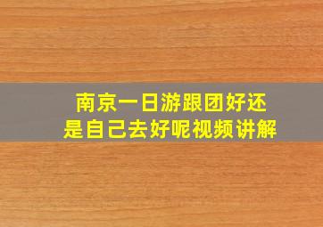 南京一日游跟团好还是自己去好呢视频讲解