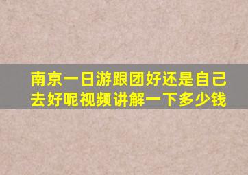 南京一日游跟团好还是自己去好呢视频讲解一下多少钱