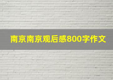 南京南京观后感800字作文