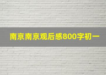 南京南京观后感800字初一