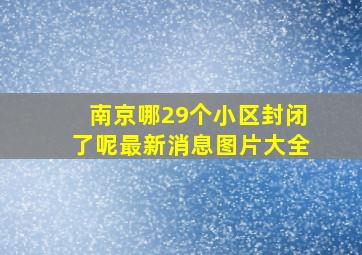 南京哪29个小区封闭了呢最新消息图片大全