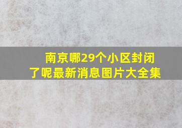 南京哪29个小区封闭了呢最新消息图片大全集