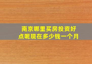 南京哪里买房投资好点呢现在多少钱一个月