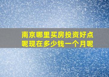 南京哪里买房投资好点呢现在多少钱一个月呢