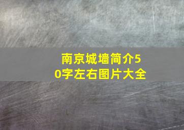 南京城墙简介50字左右图片大全