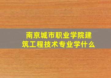 南京城市职业学院建筑工程技术专业学什么