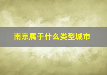 南京属于什么类型城市