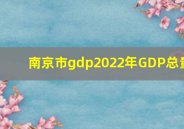 南京市gdp2022年GDP总量