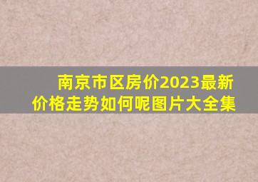 南京市区房价2023最新价格走势如何呢图片大全集