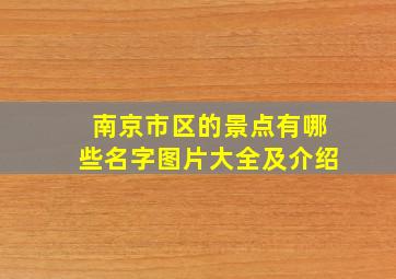 南京市区的景点有哪些名字图片大全及介绍