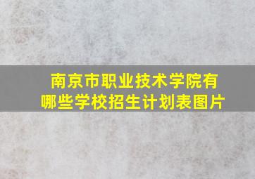 南京市职业技术学院有哪些学校招生计划表图片