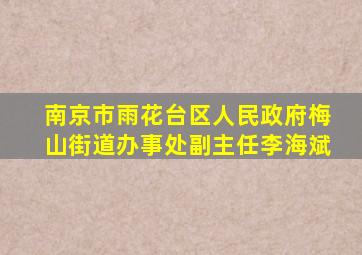 南京市雨花台区人民政府梅山街道办事处副主任李海斌