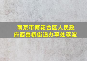 南京市雨花台区人民政府西善桥街道办事处蒋波