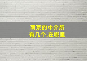 南京的中介所有几个,在哪里