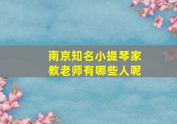 南京知名小提琴家教老师有哪些人呢