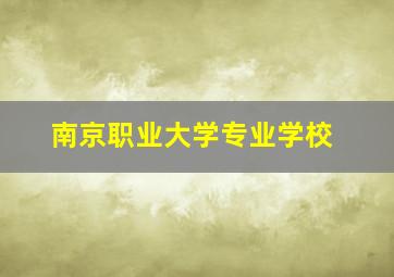 南京职业大学专业学校