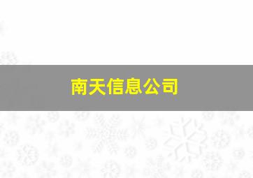 南天信息公司