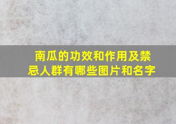 南瓜的功效和作用及禁忌人群有哪些图片和名字