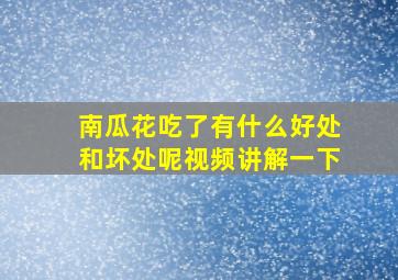 南瓜花吃了有什么好处和坏处呢视频讲解一下