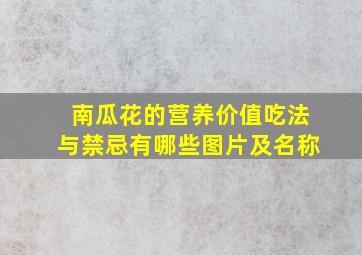 南瓜花的营养价值吃法与禁忌有哪些图片及名称