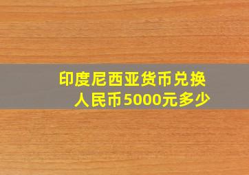 印度尼西亚货币兑换人民币5000元多少