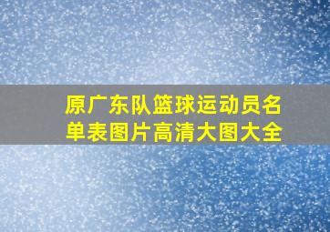 原广东队篮球运动员名单表图片高清大图大全