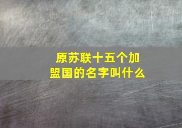 原苏联十五个加盟国的名字叫什么