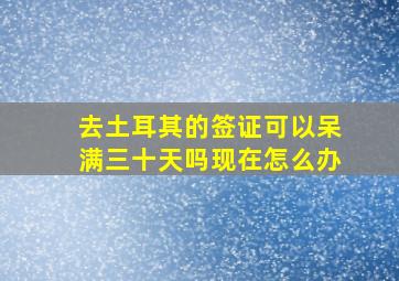 去土耳其的签证可以呆满三十天吗现在怎么办