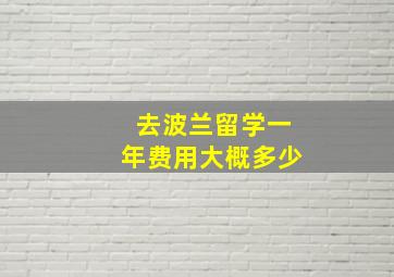 去波兰留学一年费用大概多少